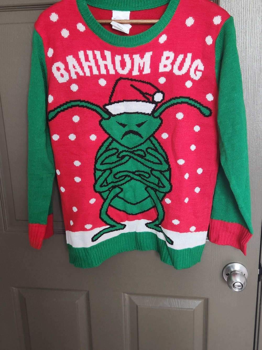 Red & Green "Bahhum Bug" Holiday Sweater - Men
